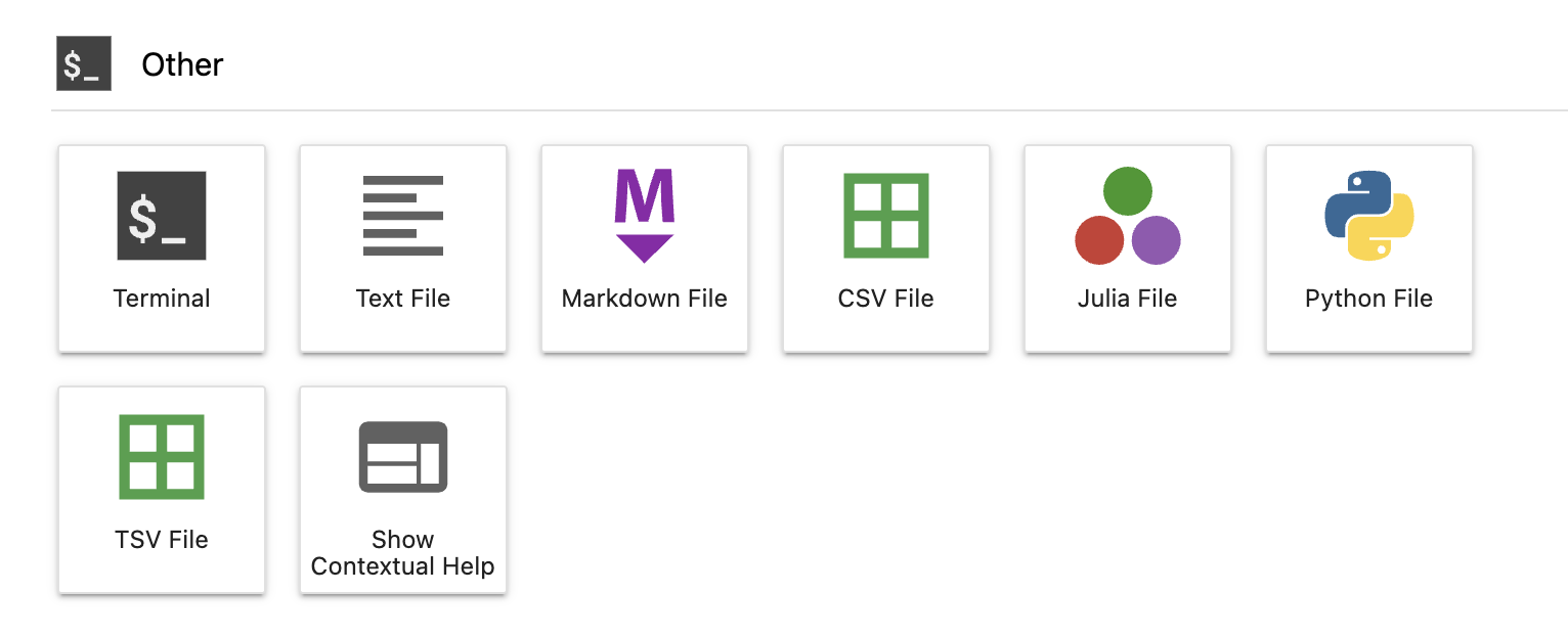 "Other" section of JupyterHub Launcher window