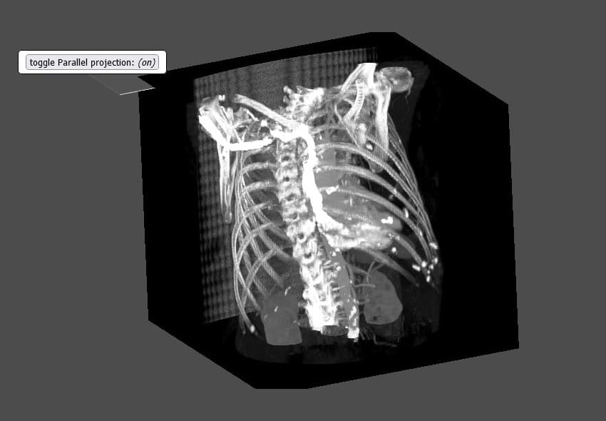 VolumeMapperParallelProjection
